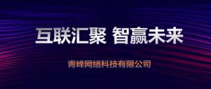 “互聯(lián)聚匯，智贏未來” 2019焦作青峰全網(wǎng)合作峰會***成功！
