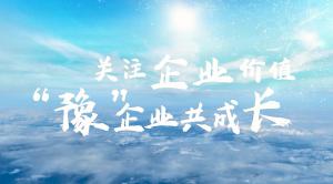 關(guān)注行業(yè)價值，豫企業(yè)共成長--青峰網(wǎng)絡